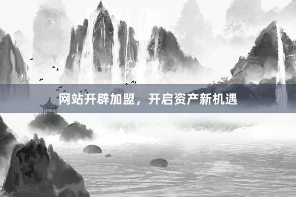 网站开辟加盟，开启资产新机遇
