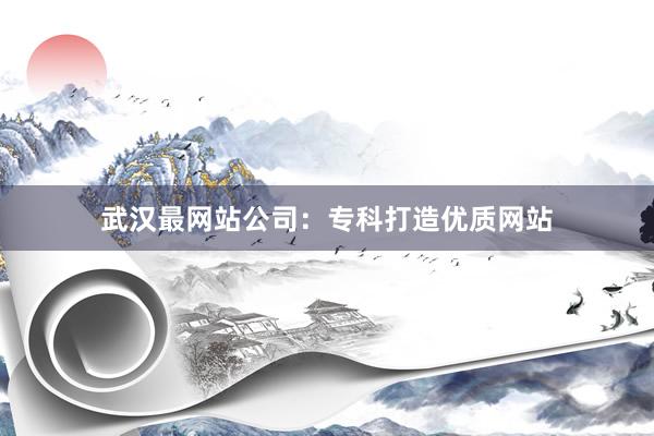 武汉最网站公司：专科打造优质网站
