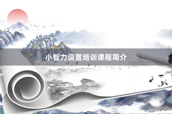 小智力设置培训课程简介
